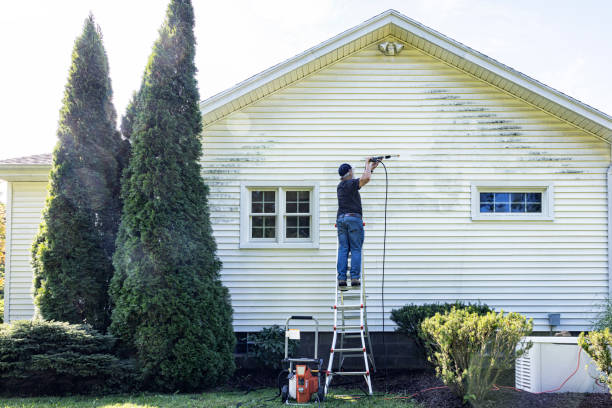 Best Window Cleaning in Allouez, WI